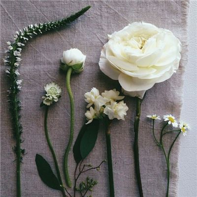 开元·app手机app下载截图